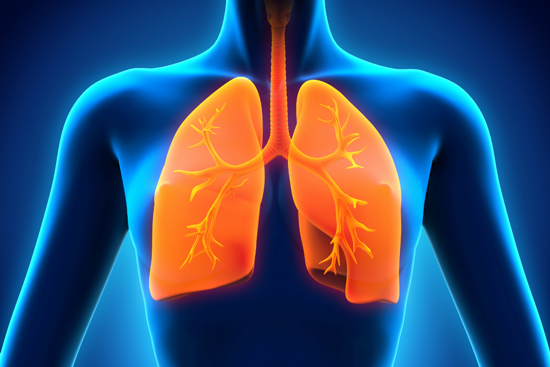 10 ways to detoxify your dirty lungs – YogaEsoteric