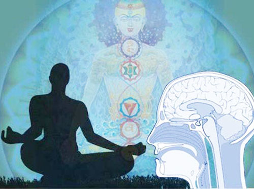 Your Brain On Meditation - YogaEsoteric