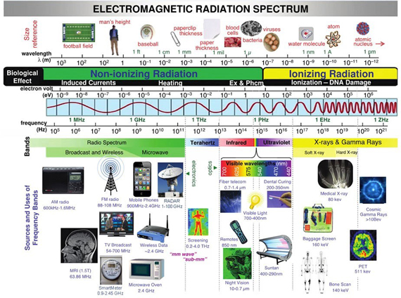 science-speaks-out-about-electromagnetic-frequencies-harms-yogaesoteric