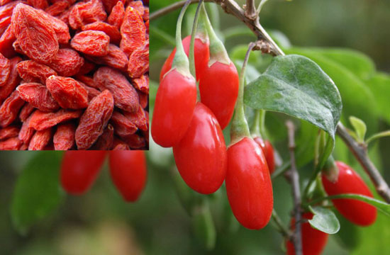 Antioxidant-Rich Goji Berries Are Superfruit Snacks That Offer A ...