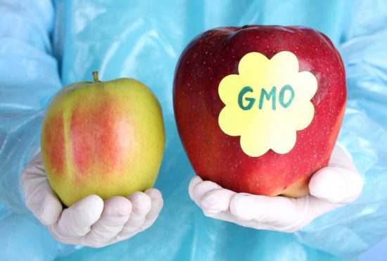 Modified Genes A Comprehensive Guide To Genetically Modified Foods