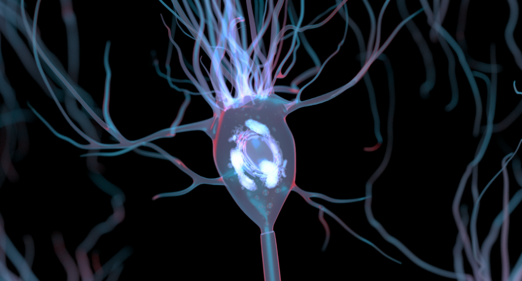 Magnetogenetics goes deep into the brain. “A major step toward ...