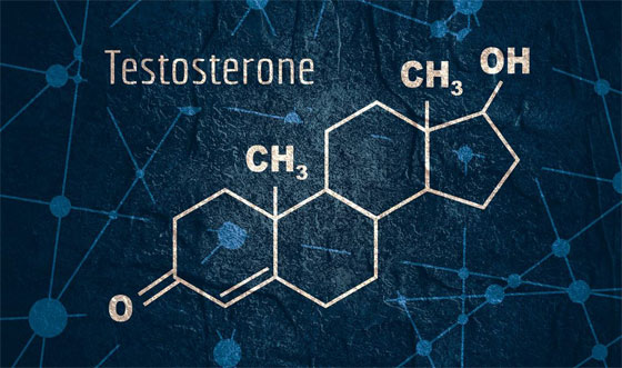 The Characteristics And Functions Of Testosterone Yogaesoteric
