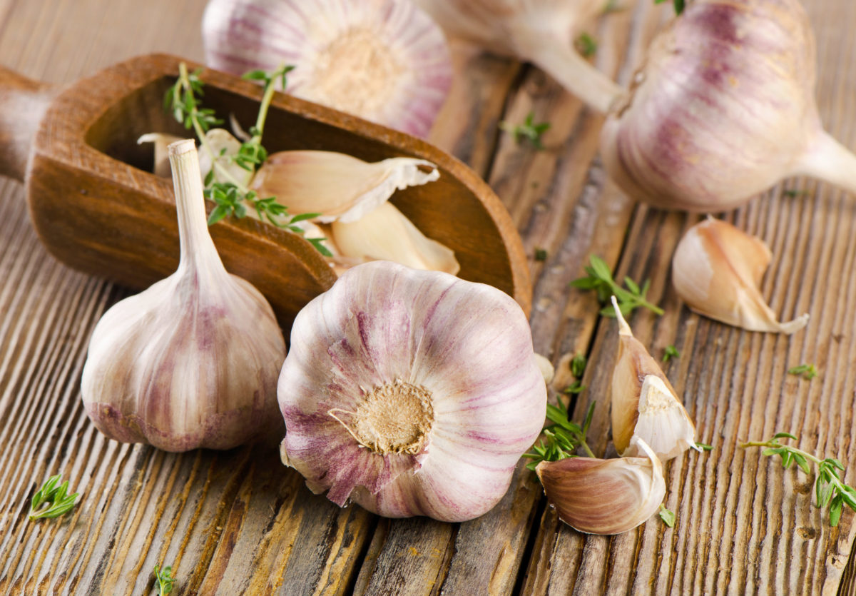 Garlic substance effective against even the strongest bacteria