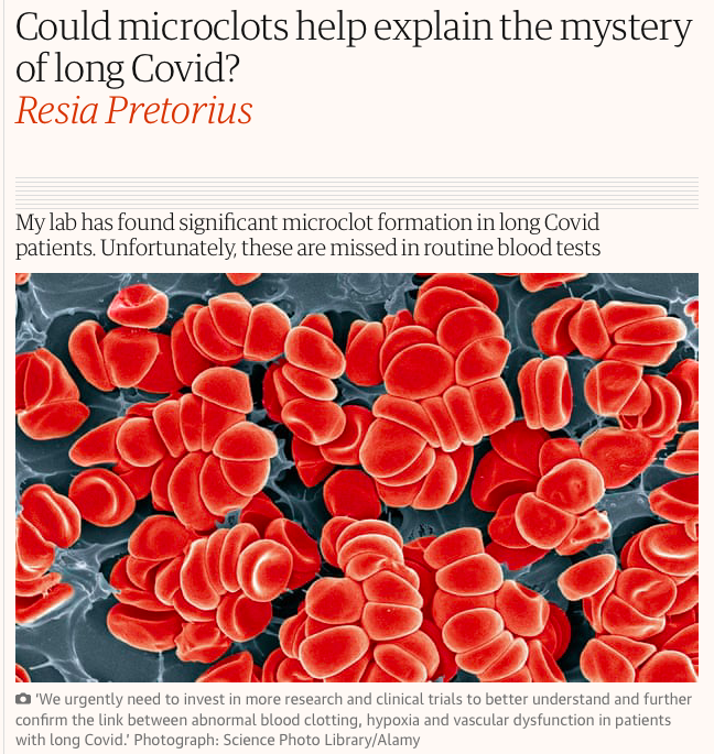 Micro blood clots key to explaining covid harm (II) YogaEsoteric