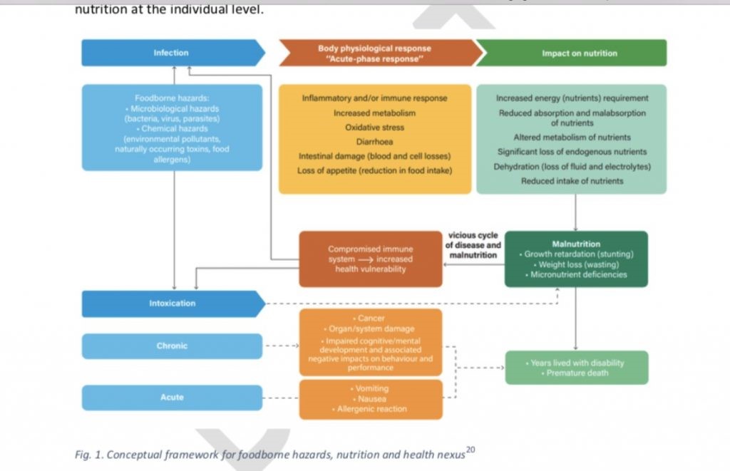 world-health-organization-food-strategy-2030-yogaesoteric